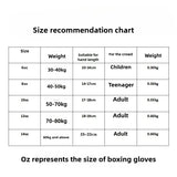 Luvas de boxe profissional Everlast